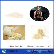 99% Pureza Atacado OEM Sports Nutrition Supplement Whey Protein Powder